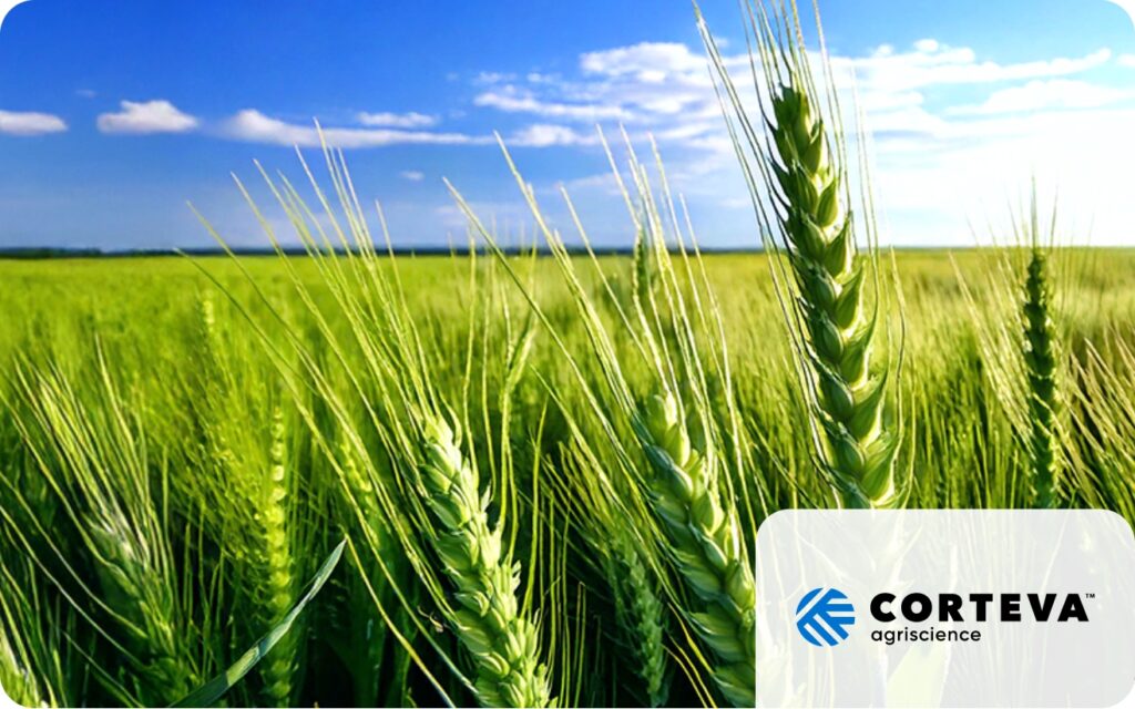 Strona główna - Programy lojalnościowe i motywacyjne